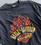 2012 Harley-Davidson Appleton Flame - XL