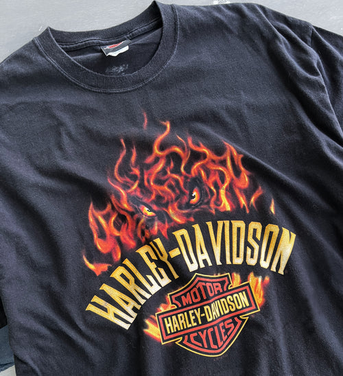 2012 Harley-Davidson Appleton Flame - XL