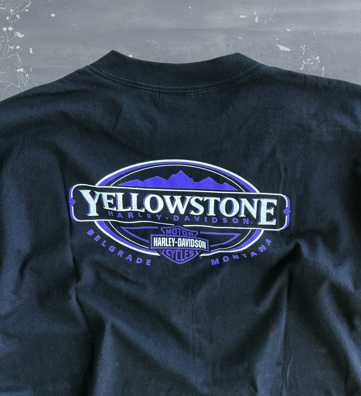 Vintage 2000 Harley-Davidson Wings — XL