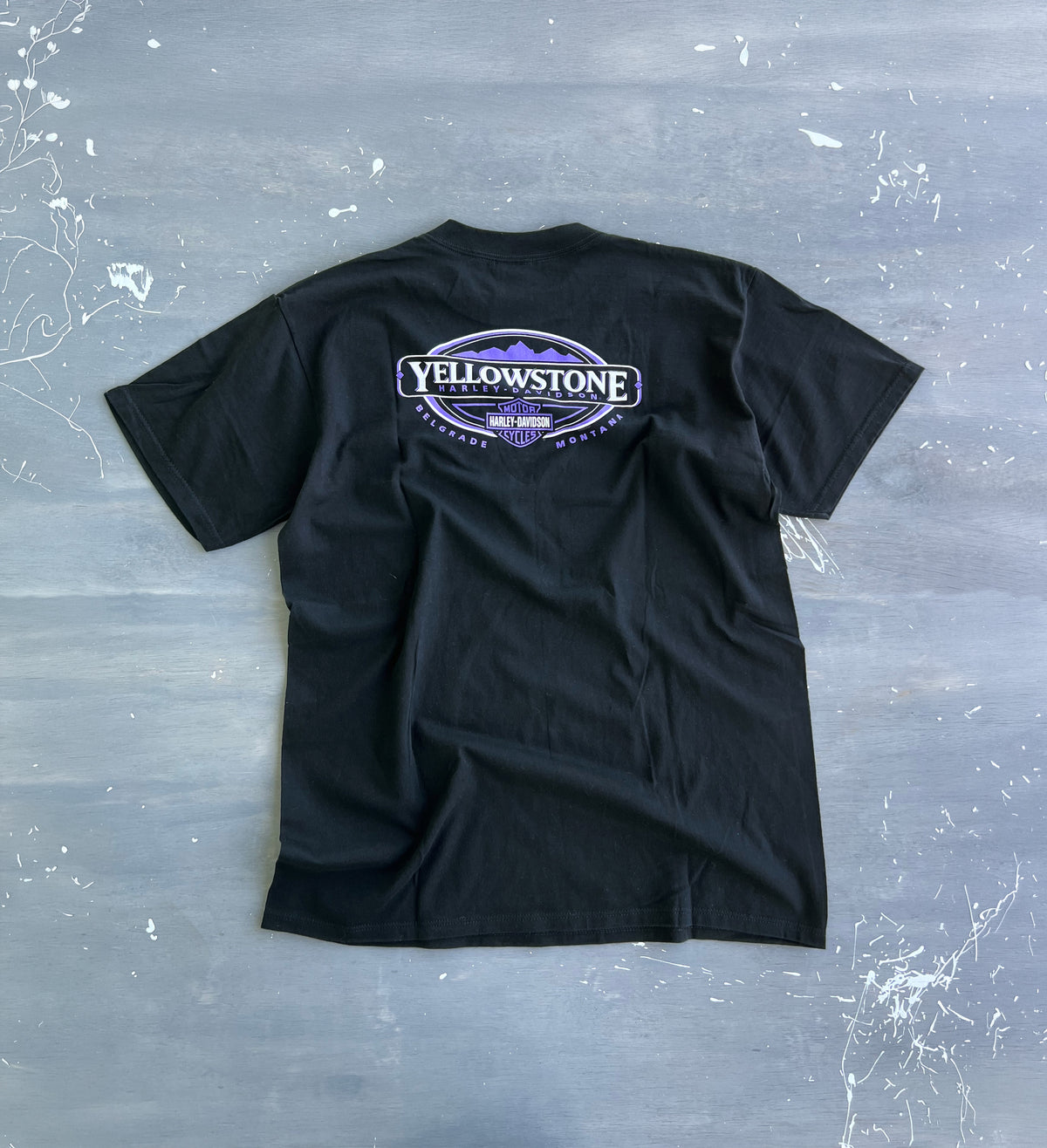 Vintage 2000 Harley-Davidson Wings — XL